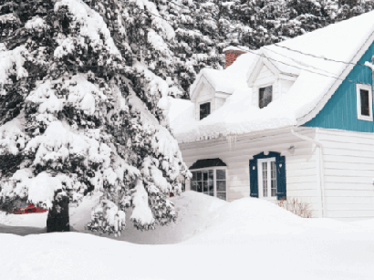 How to Keep Winter Pests Out of Your Home