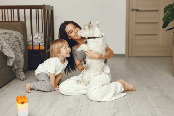 Protect Your Pets from Utah’s Most Dangerous Spiders