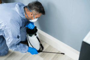 Rodent Tips 1 Professional pest control technician
