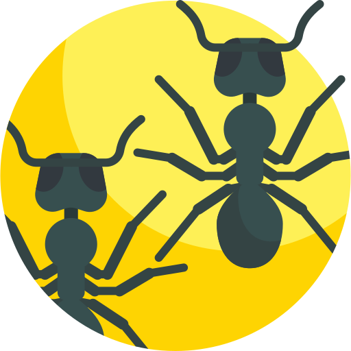 Ant Illustration of two ants against a bright yellow circular background.