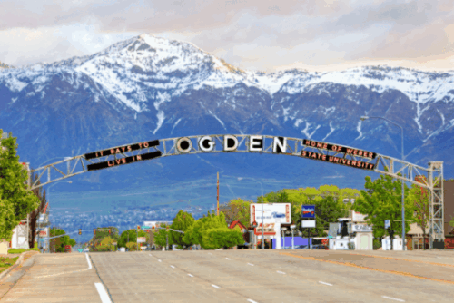 Pest Control in Ogden, Utah