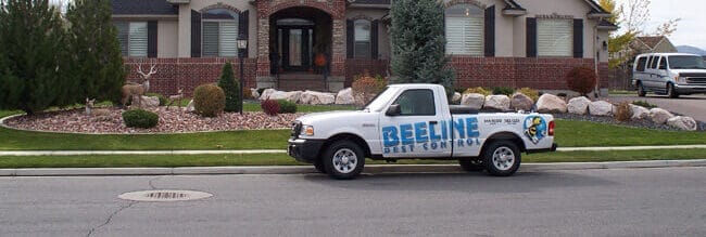 Beelinetruckhome A Beeline's truck is parked in front of a home