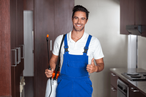 Man doing pest control in the kitchen