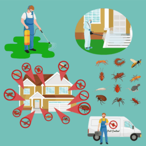 Most Experienced Pest Control In Ogden 1 Concept pest control