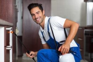 Pantry Pest Control Tips For Utah Homeowners 2 Professional Pest control