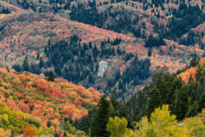 Bountiful Utah