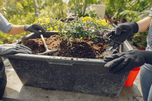 5 Tricks For Snails 1 Large rectangular planter box