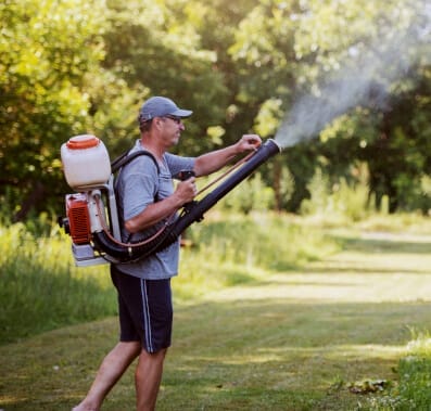 Box Elder Bug Infestation Control 4 Man spraying insecticide