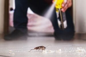 Quick And Effective Ways To Stop Summer Pests In Utah Homes 2 a human spraying aerosol poison to kill a cockroach