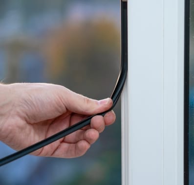 Box Elder Bug Infestation Control 1 Sealing windows to keep bugs out