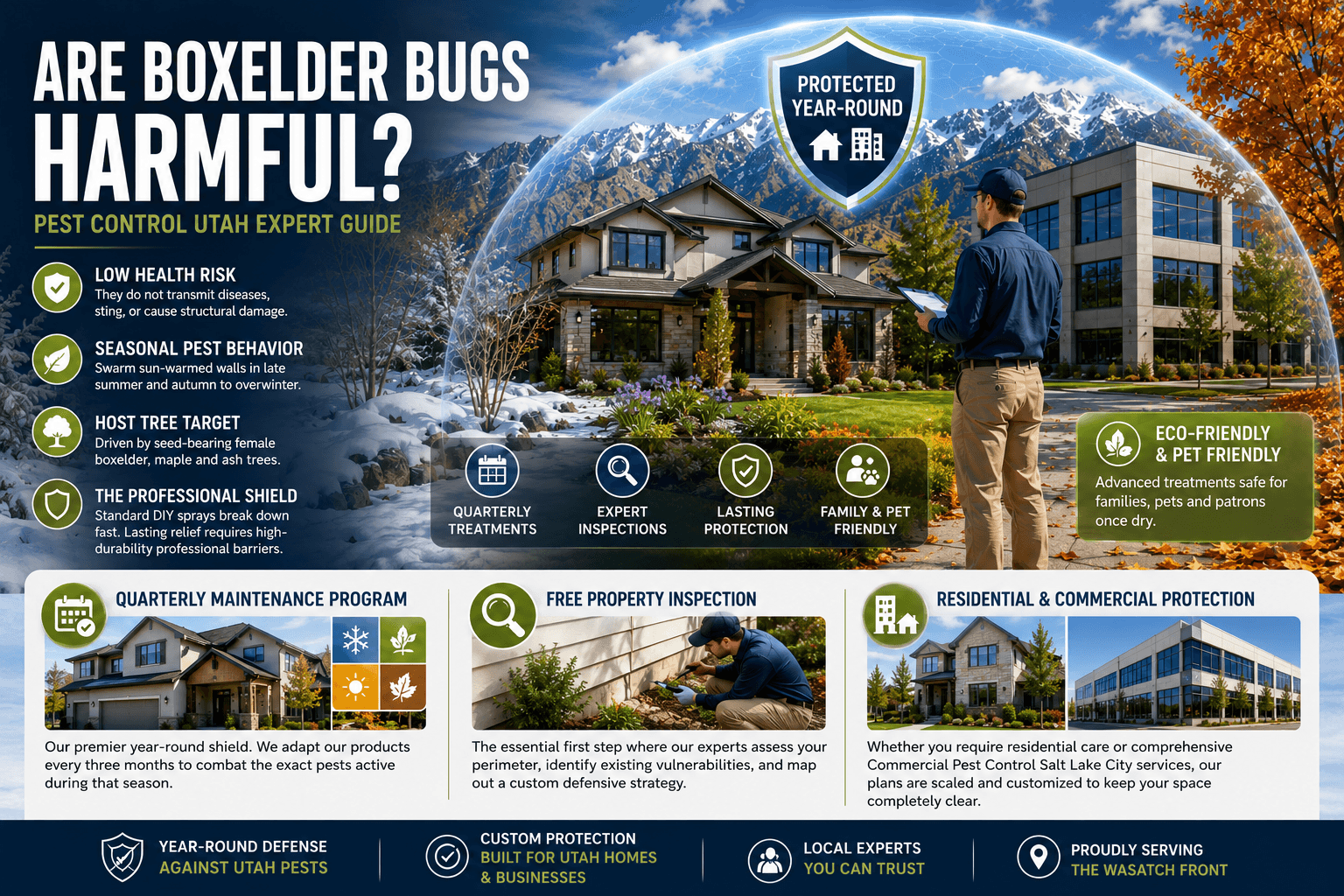 Are Boxelder Bugs Harmful? | Pest Control Utah Expert Guide