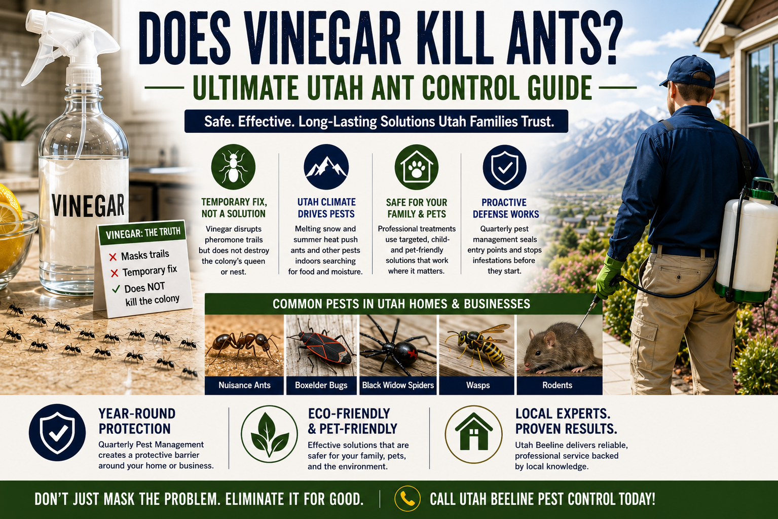 The truth about vinegar and ant control: a utah property owner&rsquo;s guide